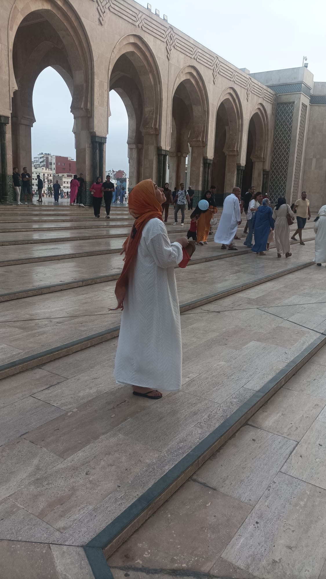 89F77909 F448 4009 B3D3 8FE06D464C92