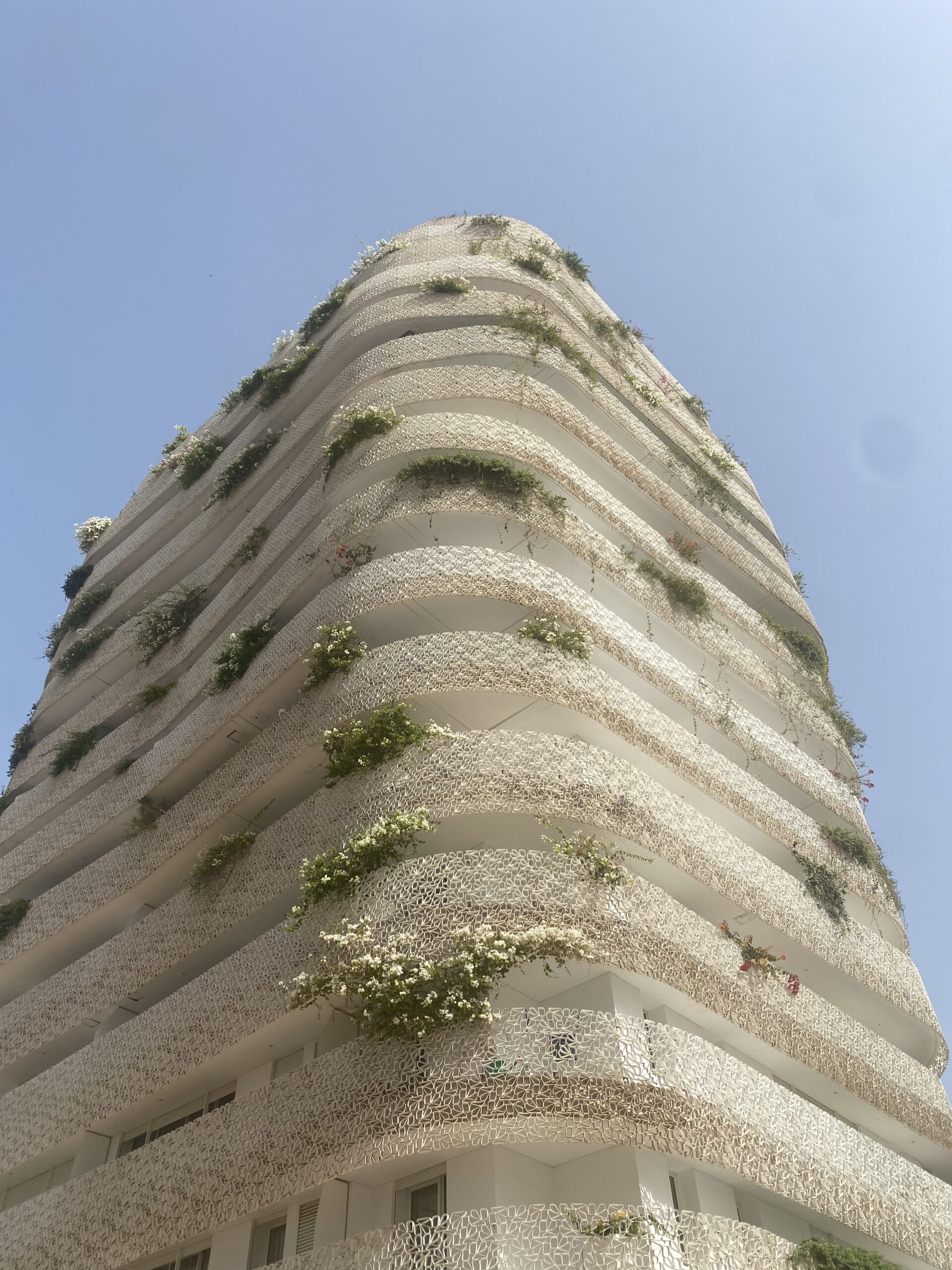 8FAB6BBB F155 4304 BF5D A5E223A335BF 2